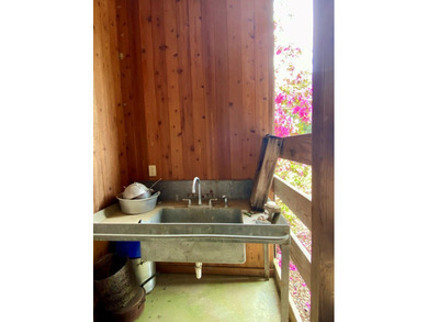 This beautiful home has it all! There is a sunroom with wet bar - photo 50