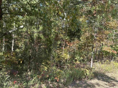Lake Holly Lot For Sale in Santa Claus Indiana