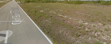 Lake Lot For Sale in Cape Coral, Florida
