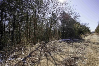 Lake Acreage For Sale in Williford, Arkansas