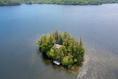 Early visitors to Squam Lake came seeking an escape from - photo 31