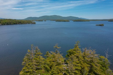 Early visitors to Squam Lake came seeking an escape from - photo 32