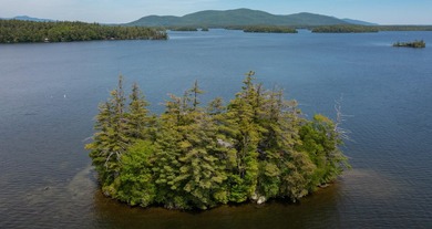 Early visitors to Squam Lake came seeking an escape from - photo 34
