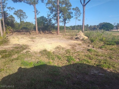 Lehigh Acres Area Lot For Sale in Lehigh Acres Florida