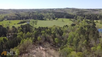 Etowah River - Cherokee County Acreage For Sale in Ball Ground Georgia