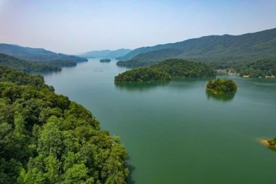 Watauga Lake Acreage For Sale in Butler Tennessee