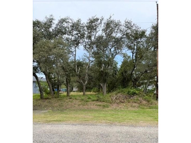 Partially trees and brush. Mainly cleared. Not in the city of - photo 1