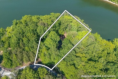 GORGEOUS 206 FEET OF LAKE FRONTAGE ON WATTS BAR LAKE, This is a - photo 2