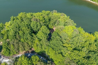GORGEOUS 206 FEET OF LAKE FRONTAGE ON WATTS BAR LAKE, This is a - photo 3