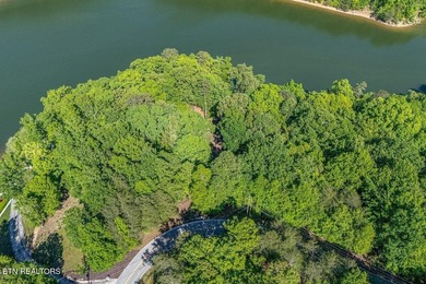 GORGEOUS 206 FEET OF LAKE FRONTAGE ON WATTS BAR LAKE, This is a - photo 4