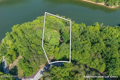 GORGEOUS 206 FEET OF LAKE FRONTAGE ON WATTS BAR LAKE, This is a - photo 5