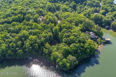 GORGEOUS 206 FEET OF LAKE FRONTAGE ON WATTS BAR LAKE, This is a - photo 7