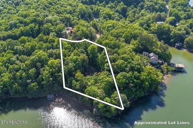 GORGEOUS 206 FEET OF LAKE FRONTAGE ON WATTS BAR LAKE, This is a - photo 8