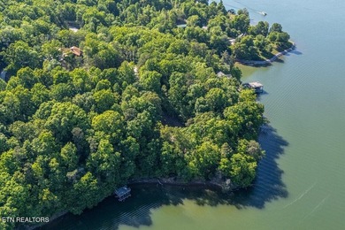GORGEOUS 206 FEET OF LAKE FRONTAGE ON WATTS BAR LAKE, This is a - photo 9