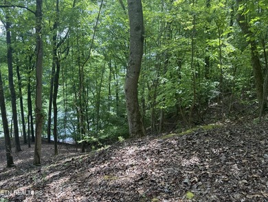 GORGEOUS 206 FEET OF LAKE FRONTAGE ON WATTS BAR LAKE, This is a - photo 10