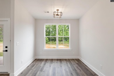 Beautiful new custom home located in a desirable Lake Murray - photo 17