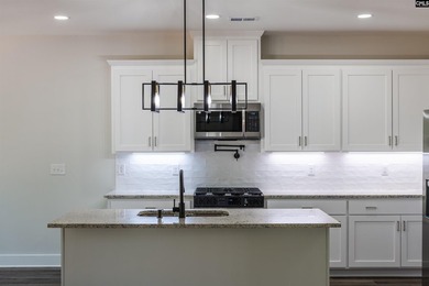 Beautiful new custom home located in a desirable Lake Murray - photo 19