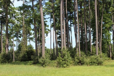 Welcome to Cypress Hills! The rolling hills and majestic pines - photo 23