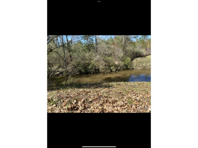 (private lake, pond, coastal) Lot For Sale in Columbia Mississippi