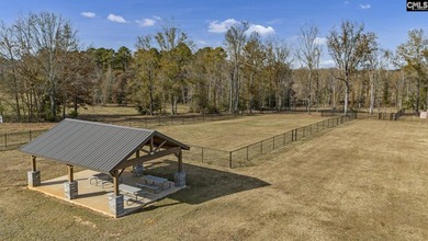 Beautiful new custom home located in a desirable Lake Murray - photo 54