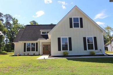 Beautiful new custom home located in a desirable Lake Murray - photo 55