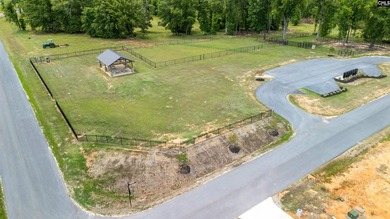Beautiful new custom home located in a desirable Lake Murray - photo 58