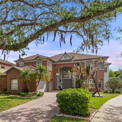 Lake Home For Sale in Safety Harbor, Florida