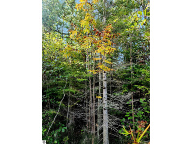 Lake Acreage For Sale in Kalkaska, Michigan