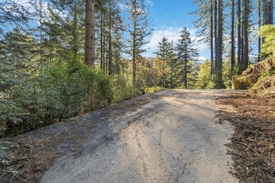 Commute to Silicon Valley without giving up the peace and quiet - photo 1