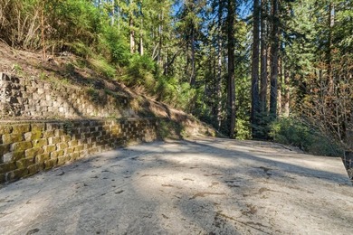 Commute to Silicon Valley without giving up the peace and quiet - photo 3
