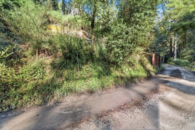 Commute to Silicon Valley without giving up the peace and quiet - photo 7