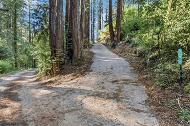 Commute to Silicon Valley without giving up the peace and quiet - photo 8