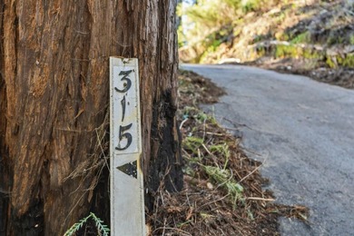 Commute to Silicon Valley without giving up the peace and quiet - photo 9