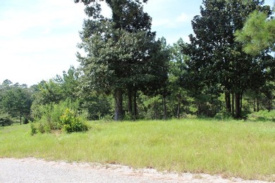 Welcome to Cypress Hills! The rolling hills and majestic pines - photo 12
