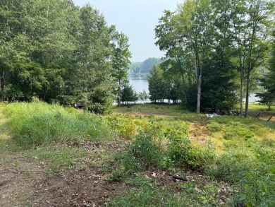 Lake Lot For Sale in Mecosta, Michigan