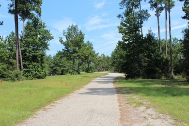 Welcome to Cypress Hills! The rolling hills and majestic pines - photo 24