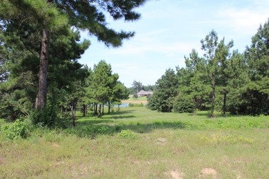 Welcome to Cypress Hills! The rolling hills and majestic pines - photo 25