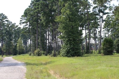 Welcome to Cypress Hills! The rolling hills and majestic pines - photo 26