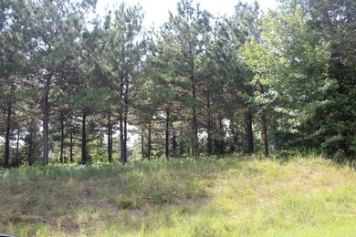 Welcome to Cypress Hills! The rolling hills and majestic pines - photo 30
