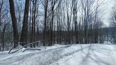 Lake Lot For Sale in Waymart, Pennsylvania