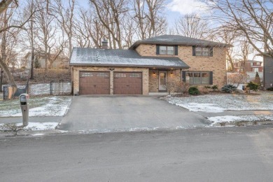 Lake Home For Sale in Albert Lea, Minnesota