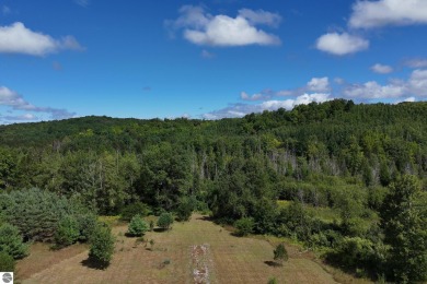 Lake Acreage For Sale in Rapid City, Michigan