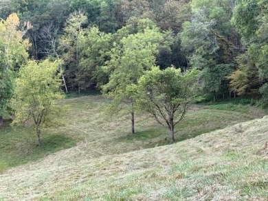 Cordell Hull Lake Acreage Sale Pending in Pleasant Shade Tennessee