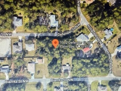 Rare opportunity to own 1/2 acre double lot. This lot to be sold - photo 1