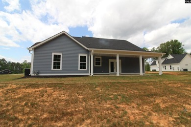 Beautiful new custom home located in a desirable Lake Murray - photo 42