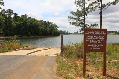 Beautiful new custom home located in a desirable Lake Murray - photo 43