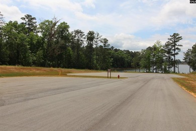 Beautiful new custom home located in a desirable Lake Murray - photo 45
