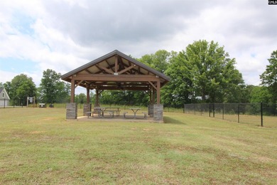 Beautiful new custom home located in a desirable Lake Murray - photo 49