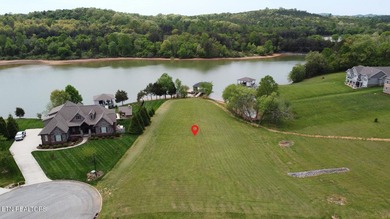 Rare Opportunity - Dockable Lakefront Lot With Active Dock - photo 1