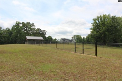 Beautiful new custom home located in a desirable Lake Murray - photo 53